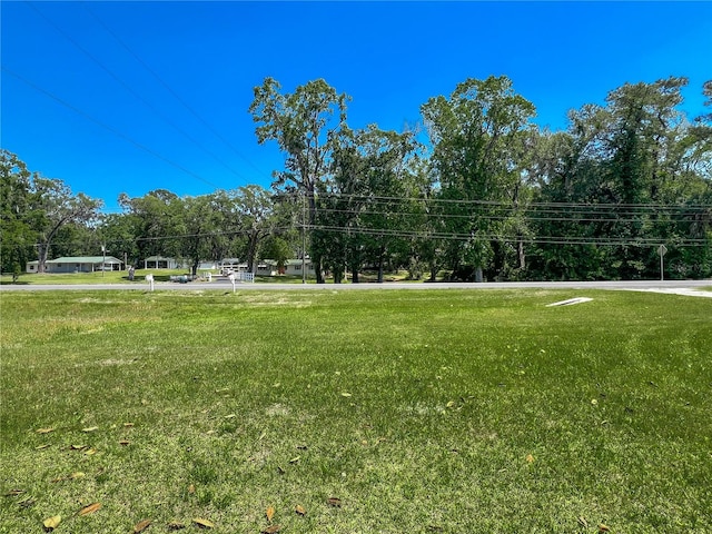 7910 S US Highway 441, Lake City, FL 32025 - photo 13