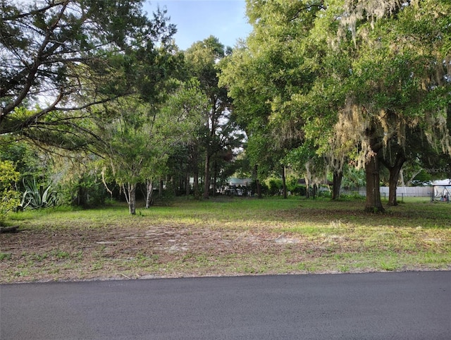 5501 E Live Oak, Inverness, FL 34453 - photo 1