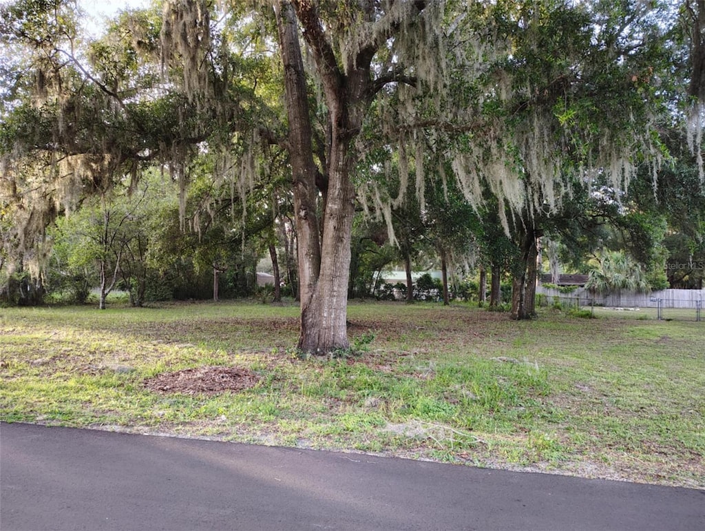 5501 E Live Oak, Inverness, FL 34453 - photo 2