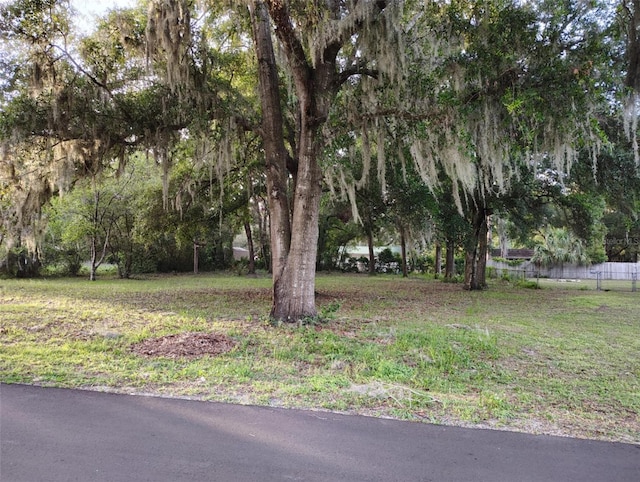 5501 E Live Oak, Inverness, FL 34453 - photo 2