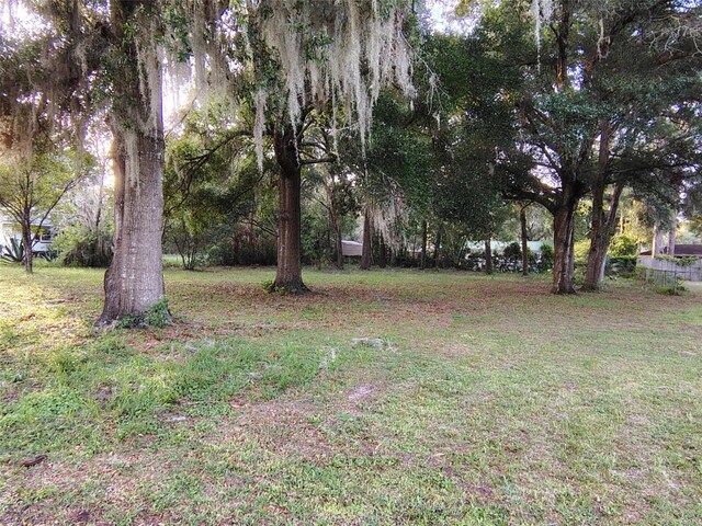 5501 E Live Oak, Inverness, FL 34453 - photo 3