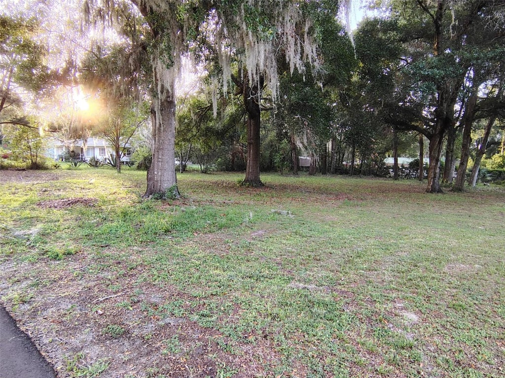 5501 E Live Oak, Inverness, FL 34453 - photo 4
