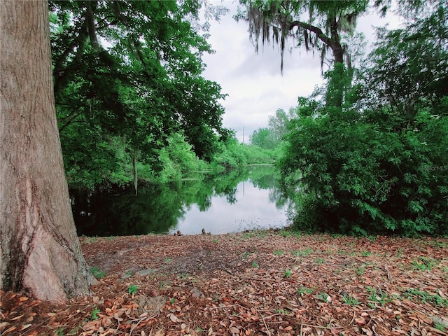 2360 SW Archer Rd Unit 211, Gainesville, FL 32608 - photo 16