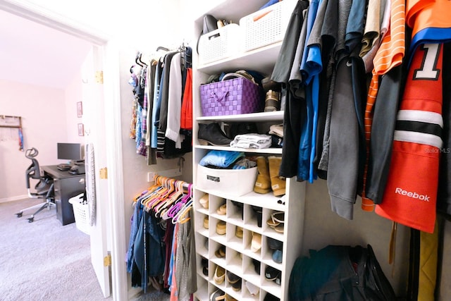 3735 NW 64th Pl, Gainesville, FL 32653 - spacious closet with carpet flooring