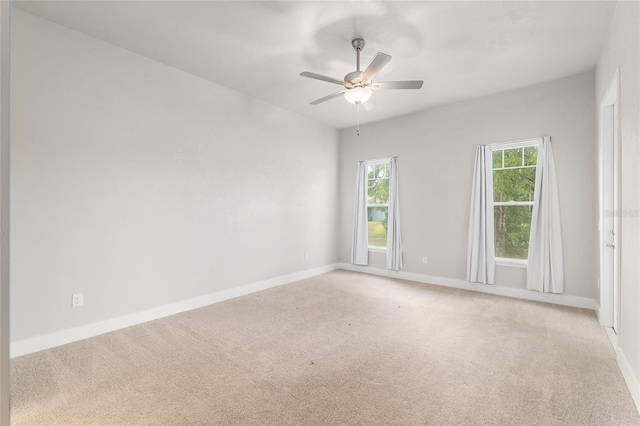 1209 NW 132nd Blvd, Newberry, FL 32669 - photo 32