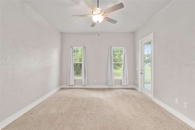 1209 NW 132nd Blvd, Newberry, FL 32669 - photo 34