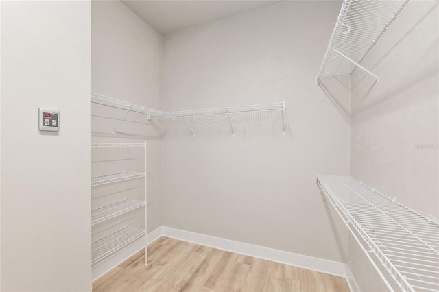 1209 NW 132nd Blvd, Newberry, FL 32669 - photo 41