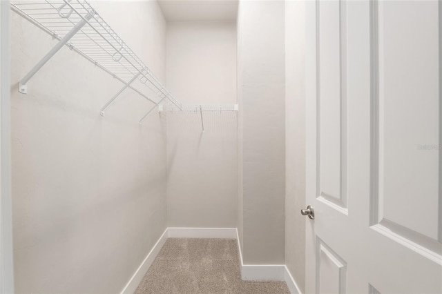 1209 NW 132nd Blvd, Newberry, FL 32669 - photo 53
