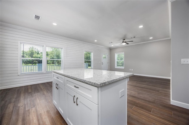 16011 S County Road 325, Hawthorne, FL 32640 - kitchen featuring crown molding, ceiling fan, white cabinetry, dark wood finished floors, and a center island