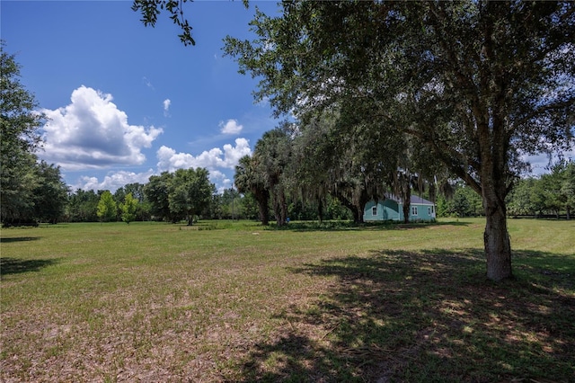 16011 S County Road 325, Hawthorne, FL 32640 - view of green lawn