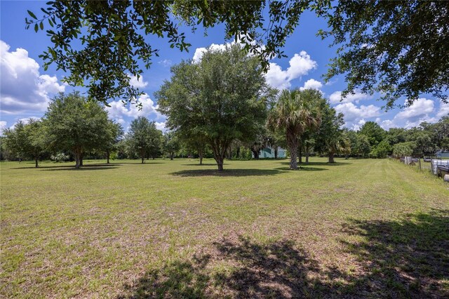 16011 S County Road 325, Hawthorne, FL 32640 - view of grassy yard