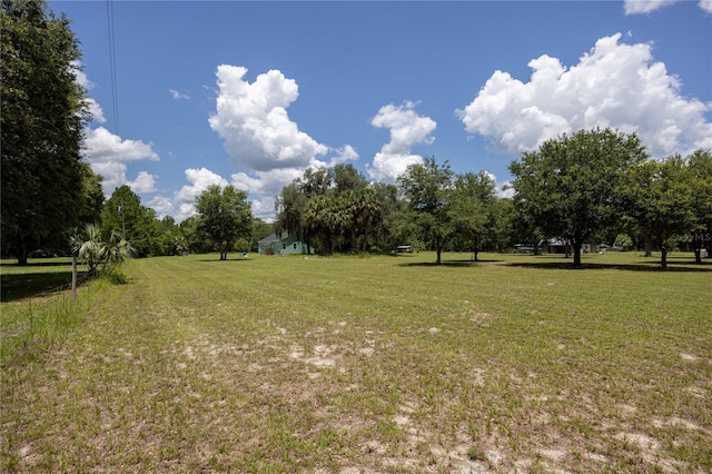 16011 S County Road 325, Hawthorne, FL 32640 - view of grassy yard