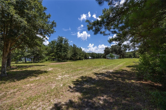 16011 S County Road 325, Hawthorne, FL 32640 - view of green lawn