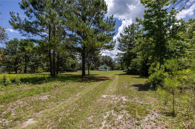 16011 S County Road 325, Hawthorne, FL 32640 - view of yard