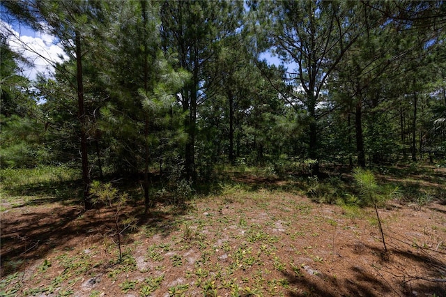 16011 S County Road 325, Hawthorne, FL 32640 - view of woods