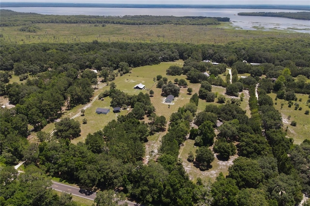 16011 S County Road 325, Hawthorne, FL 32640 - bird's eye view of a nearby body of water and a heavily wooded area