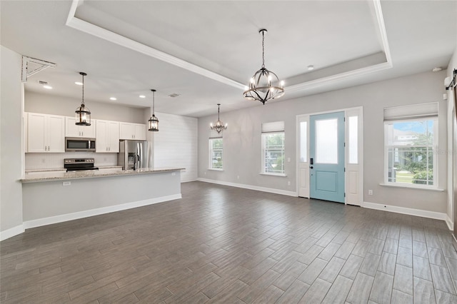 2556 SW 118th Ter, Gainesville, FL 32608 - kitchen with appliances with stainless steel finishes, a tray ceiling, plenty of natural light, and recessed lighting