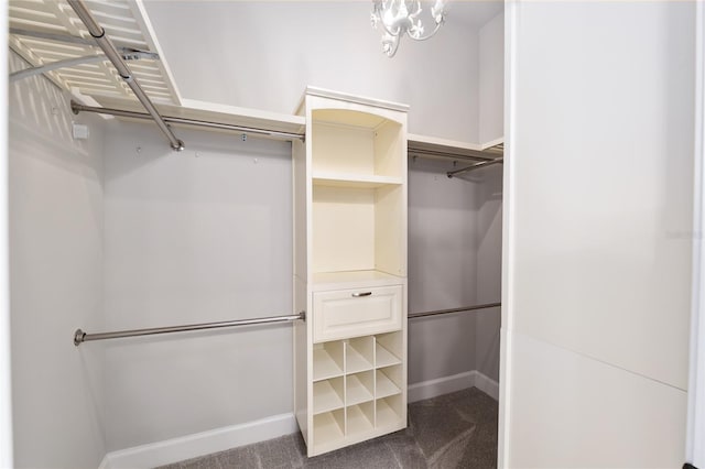 2556 SW 118th Ter, Gainesville, FL 32608 - spacious closet featuring dark carpet
