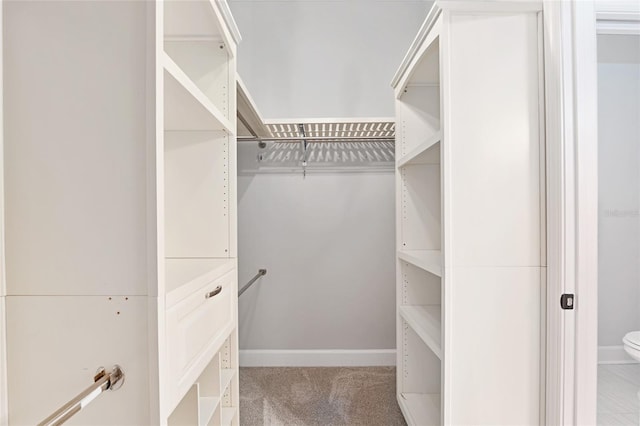 2556 SW 118th Ter, Gainesville, FL 32608 - spacious closet featuring carpet flooring