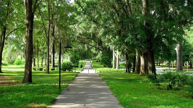 13447 SW 9th Rd, Newberry, FL 32669 - photo 2