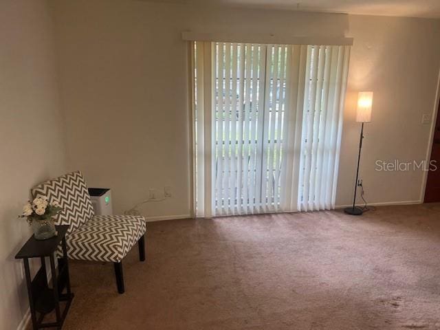 5030 NW 28th Ter, Gainesville, FL 32605 - photo 12
