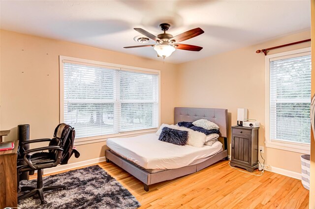 1318 NW 7th Rd, Gainesville, FL 32603 - bedroom with light wood-style floors, multiple windows, and a ceiling fan