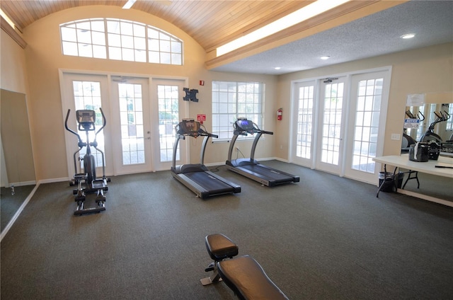 3705 SW 27th St Unit 223, Gainesville, FL 32608 - gym with lofted ceiling, plenty of natural light, wood ceiling, and french doors