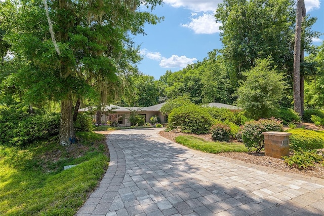 6501 NW 16th Pl, Gainesville, FL 32605 - view of community featuring decorative driveway