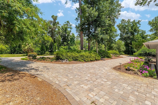 6501 NW 16th Pl, Gainesville, FL 32605 - surrounding community