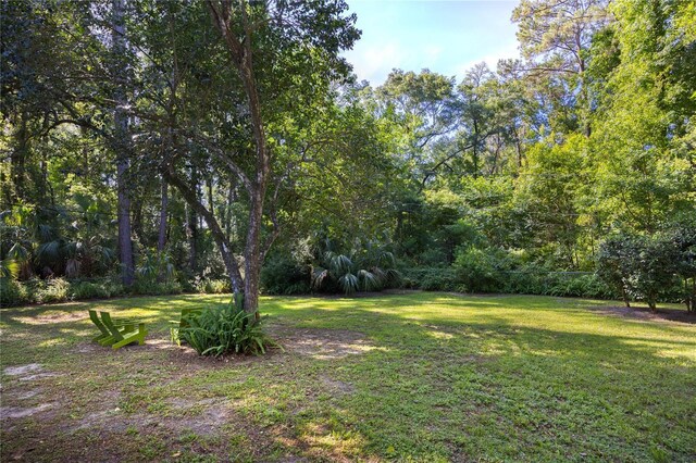 3511 NW 33rd Pl, Gainesville, FL 32605 - photo 45