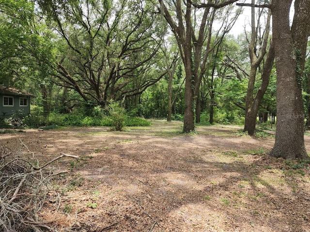 16302 NW 74th Ave, Alachua, FL 32615 - photo 16