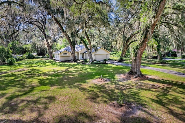 6505 SW 135th Pl, Archer, FL 32618 - view of green lawn featuring asphalt driveway, a garage, and view of scattered trees