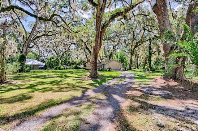 6505 SW 135th Pl, Archer, FL 32618 - view of green lawn featuring a garage