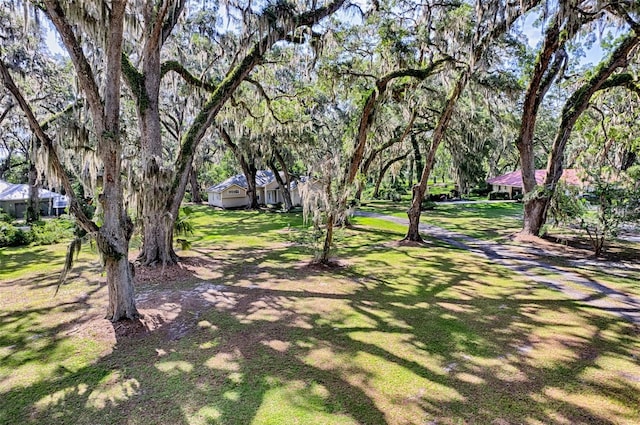 6505 SW 135th Pl, Archer, FL 32618 - view of home's community with a yard