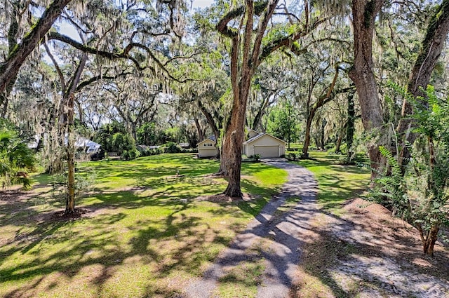 6505 SW 135th Pl, Archer, FL 32618 - view of grassy yard featuring a detached garage and an outdoor structure