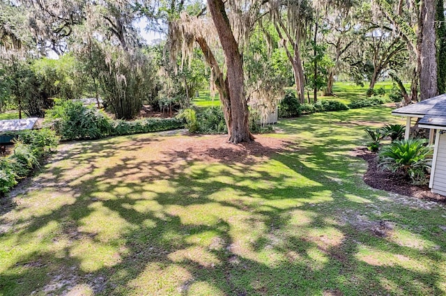 6505 SW 135th Pl, Archer, FL 32618 - view of grassy yard featuring view of wooded area
