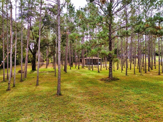 148 NW Horizon St, Lake City, FL 32055 - photo 40