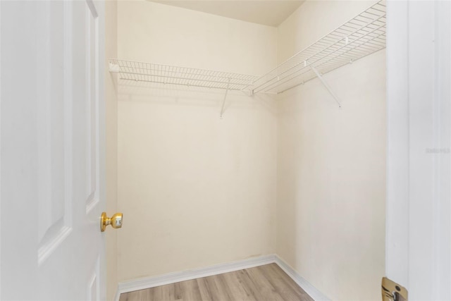 3846 NW 62nd Pl, Gainesville, FL 32653 - walk in closet with light wood finished floors