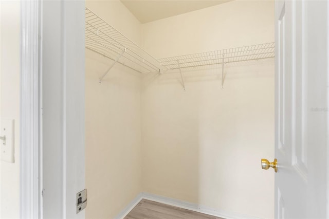 3846 NW 62nd Pl, Gainesville, FL 32653 - spacious closet featuring light wood finished floors