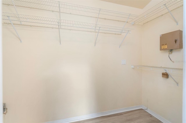 3846 NW 62nd Pl, Gainesville, FL 32653 - walk in closet featuring light wood-type flooring