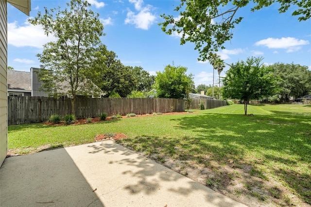 3846 NW 62nd Pl, Gainesville, FL 32653 - view of yard with a patio