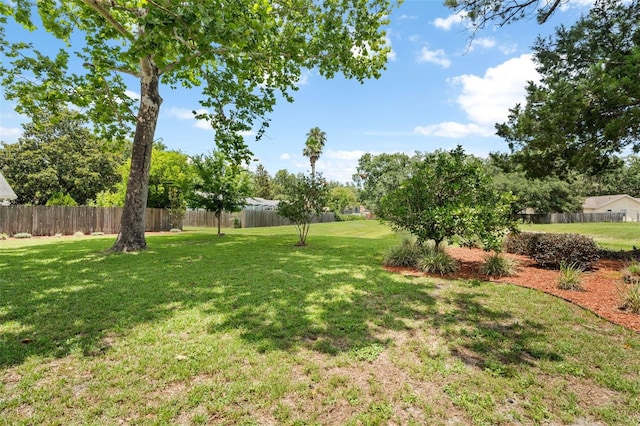 3846 NW 62nd Pl, Gainesville, FL 32653 - view of yard