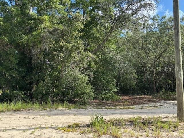 6392 Amherst Ave, Keystone Heights, FL 32656 - photo 3