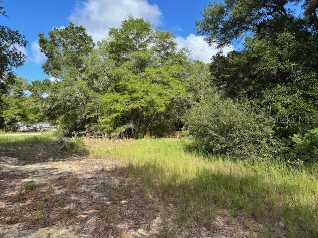 6392 Amherst Ave, Keystone Heights, FL 32656 - photo 5