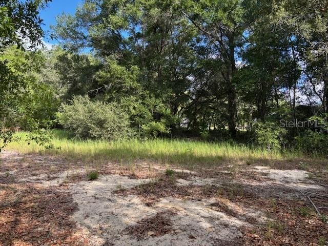 6392 Amherst Ave, Keystone Heights, FL 32656 - photo 6