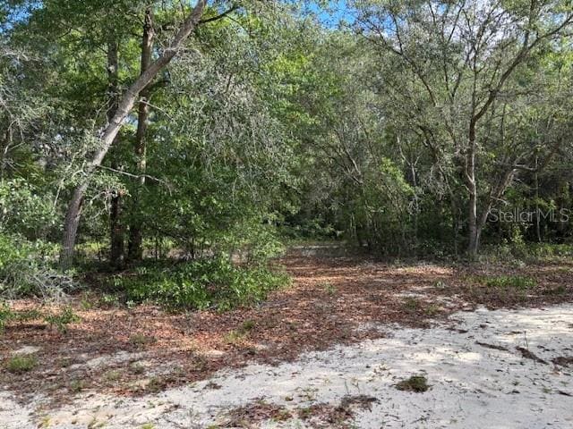 6392 Amherst Ave, Keystone Heights, FL 32656 - photo 7