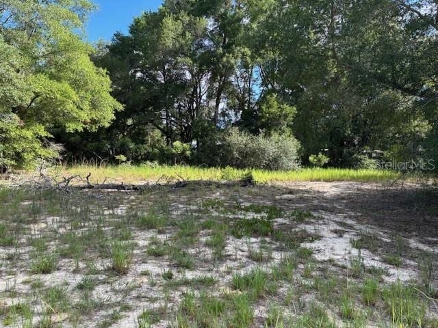 6392 Amherst Ave, Keystone Heights, FL 32656 - photo 8