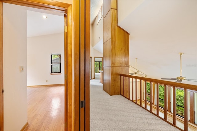 1225 NW 23rd Ter, Gainesville, FL 32605 - hallway with light wood finished floors and baseboards