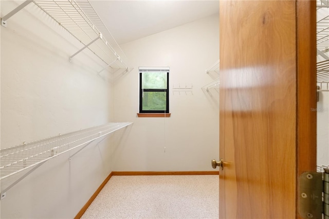 1225 NW 23rd Ter, Gainesville, FL 32605 - spacious closet featuring carpet