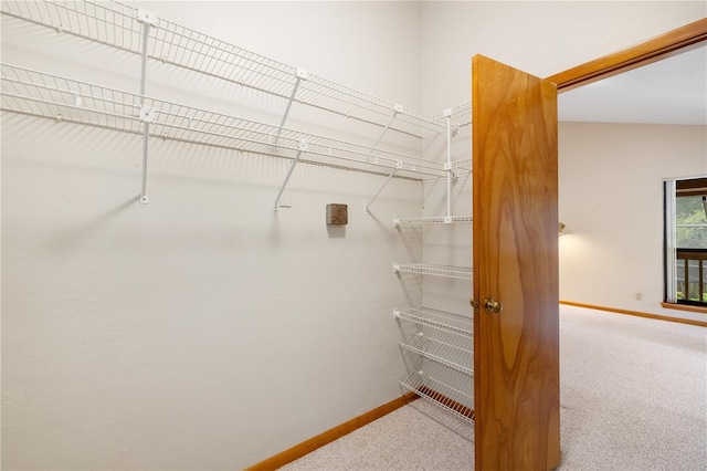1225 NW 23rd Ter, Gainesville, FL 32605 - walk in closet featuring carpet
